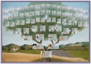 Lire la suite à propos de l’article L&rsquo;arbre généalogique : une fenêtre sur votre histoire familiale