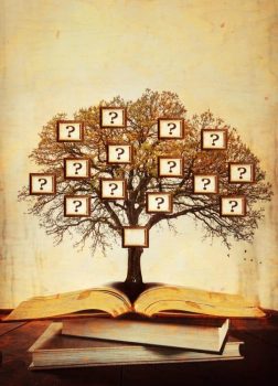 WhatsApp Image 2024-06-15 à 16.30.24_21835493